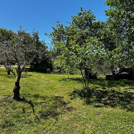 Les Demeures Du Clos Niozelles Esterno foto